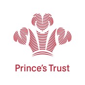 princes-trust-cmyk-for-printing